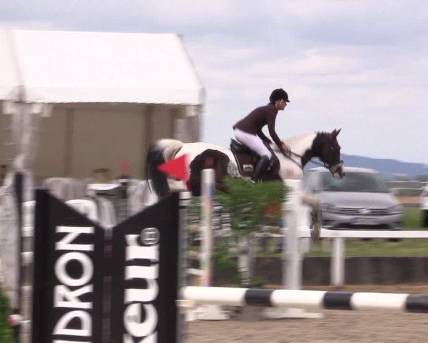 Reitturnier Melle-Ostenfelde 2022