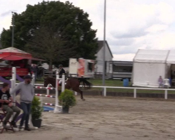 Reitturnier Melle-Ostenfelde 2022