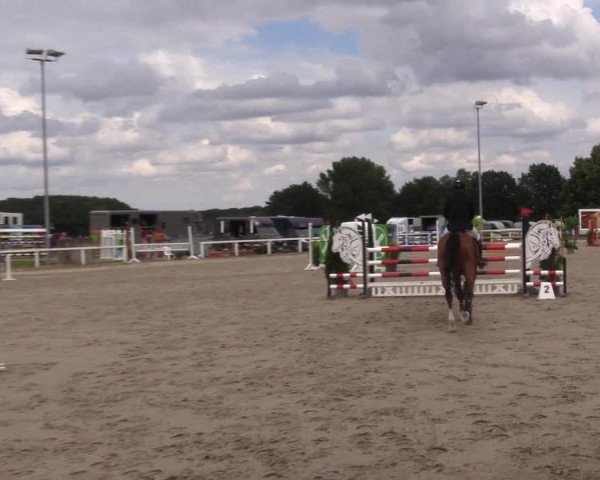 Reitturnier Melle-Ostenfelde 2022