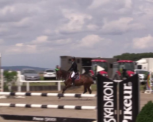 Reitturnier Melle-Ostenfelde 2022