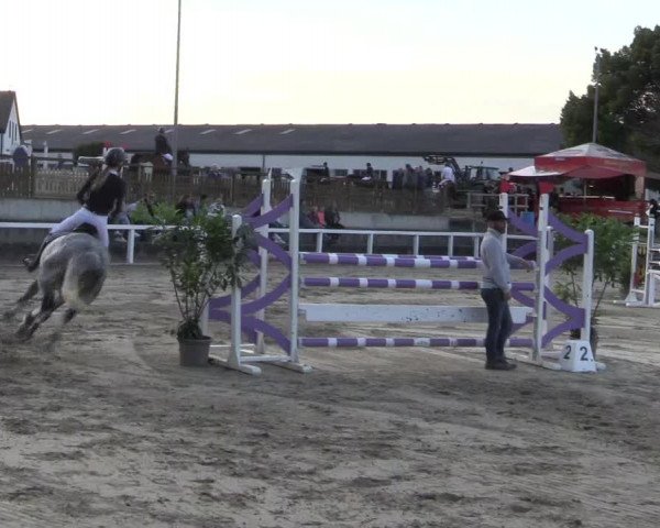 Reitturnier Melle-Ostenfelde 2022
