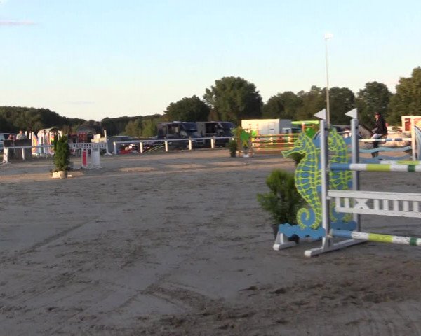 Reitturnier Melle-Ostenfelde 2022