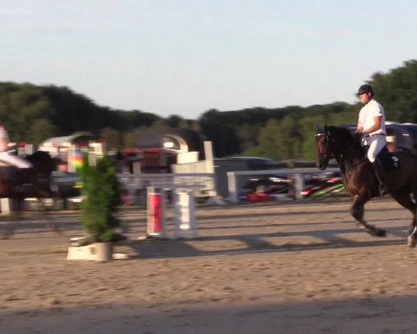 Reitturnier Melle-Ostenfelde 2022
