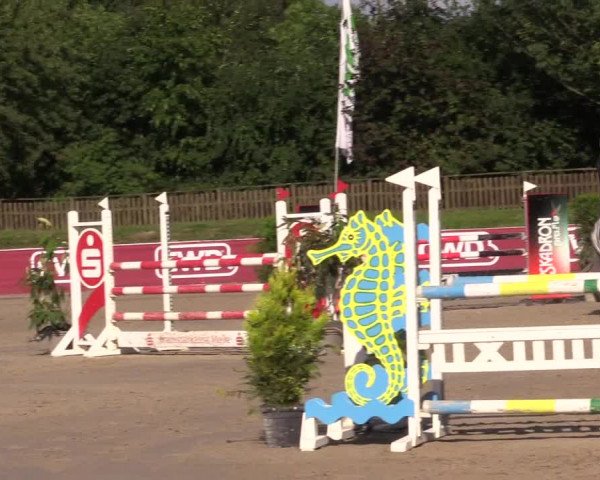 Reitturnier Melle-Ostenfelde 2022