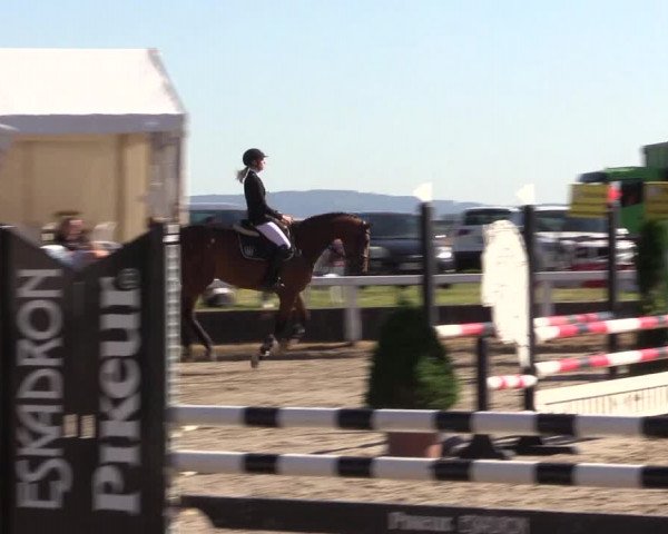 Reitturnier Melle-Ostenfelde 2022