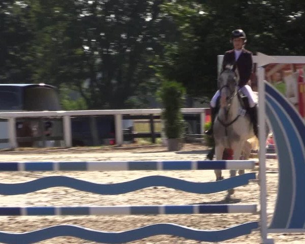 Reitturnier Melle-Ostenfelde 2022