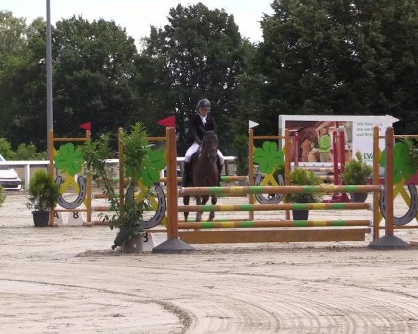 Reitturnier Melle-Ostenfelde 2022