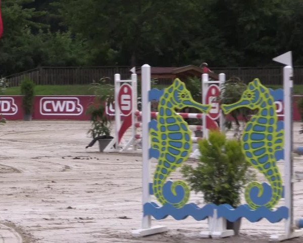 Reitturnier Melle-Ostenfelde 2022
