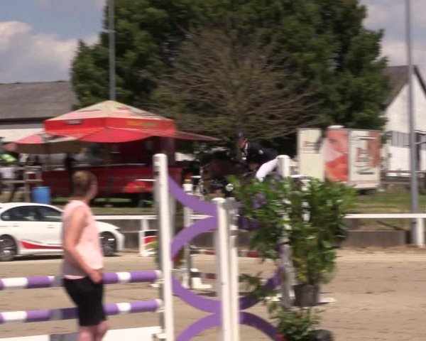 Reitturnier Melle-Ostenfelde 2022