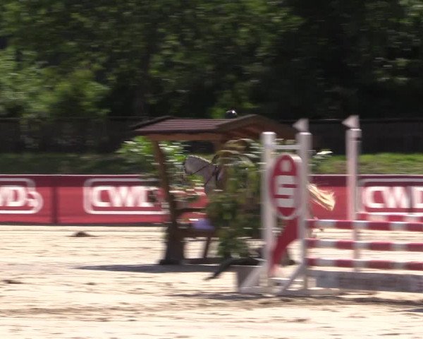 Reitturnier Melle-Ostenfelde 2022