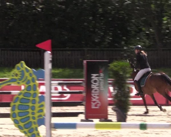 Reitturnier Melle-Ostenfelde 2022