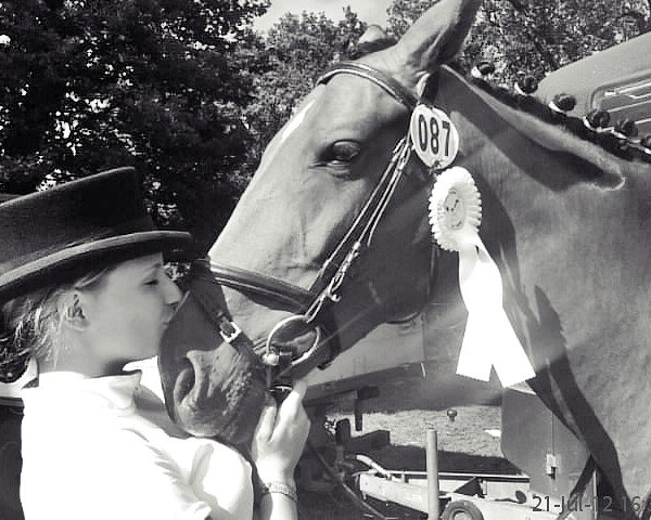 Dressurpferd Raschka (Oldenburger Springpferd, 2006, von Ludwig von Bayern 168 FIN)