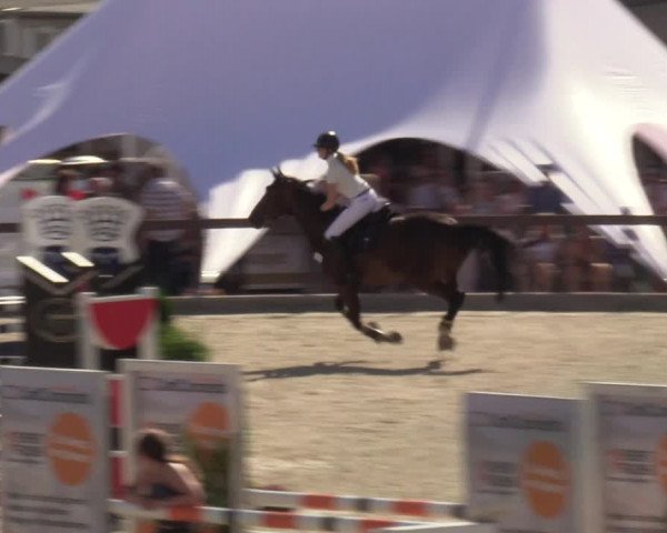 Reitturnier Leichlingen-Witzhelden - Sieferhof 2022
