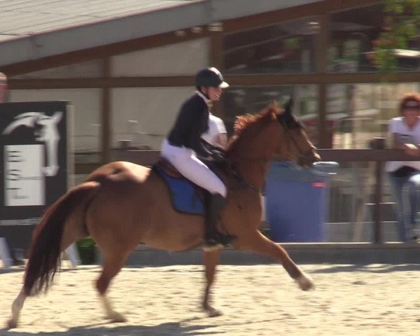 Reitturnier Leichlingen-Witzhelden - Sieferhof 2022