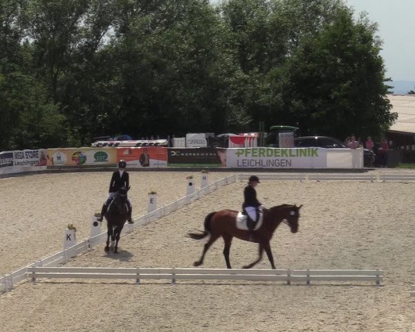 Reitturnier Leichlingen-Witzhelden - Sieferhof 2022