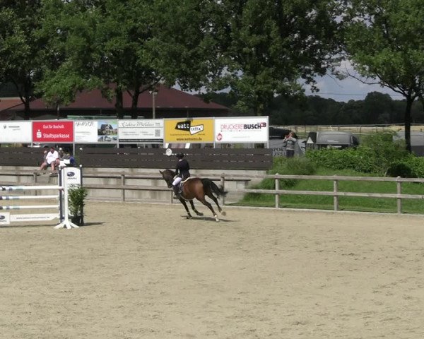 Reitturnier Barlo-Bocholt 2022