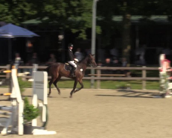 Reitturnier Barlo-Bocholt 2022
