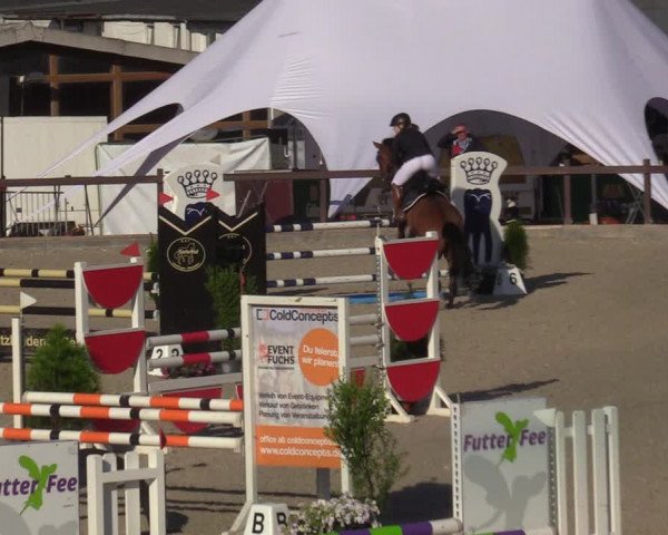 Reitturnier Leichlingen-Witzhelden - Sieferhof 2022