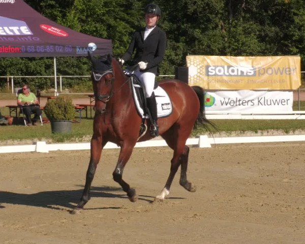 Reitturnier Heiligenwald 2022