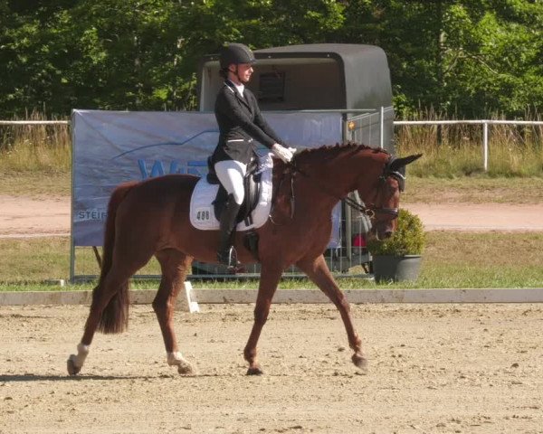 Reitturnier Heiligenwald 2022
