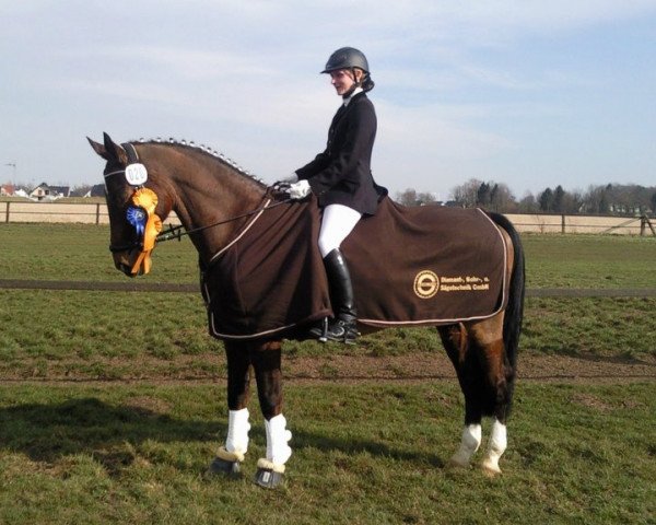 dressage horse Littel Max (KWPN (Royal Dutch Sporthorse), 1993, from Amulet)