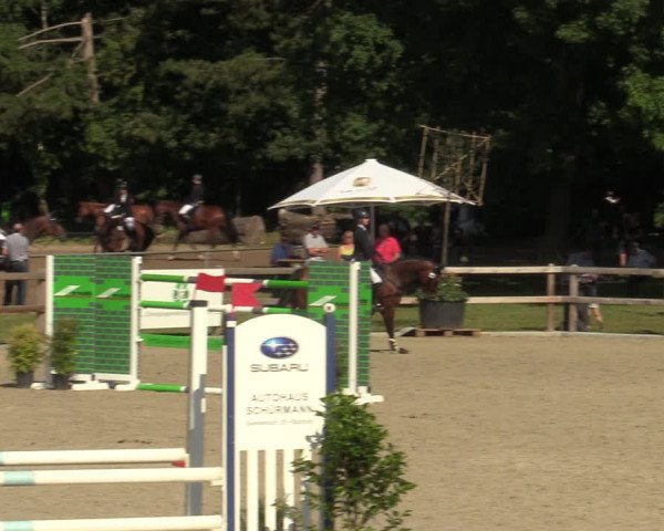 Reitturnier Barlo-Bocholt 2022