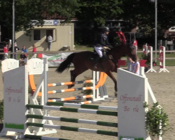 Reitturnier Barlo-Bocholt 2022
