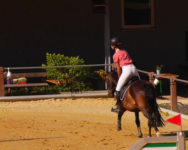 Reitturnier Uder, Reitanlage Kobold 2022