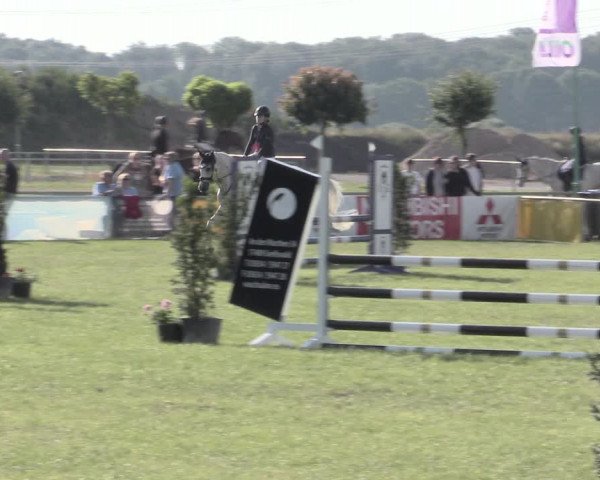 Reitturnier Dersekow 2022