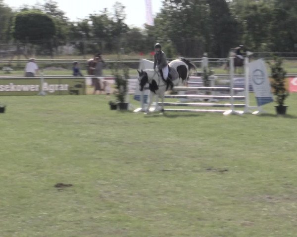 Reitturnier Dersekow 2022