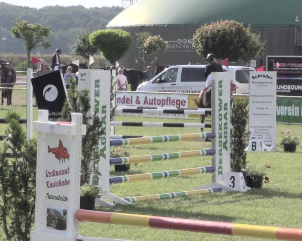 Reitturnier Dersekow 2022