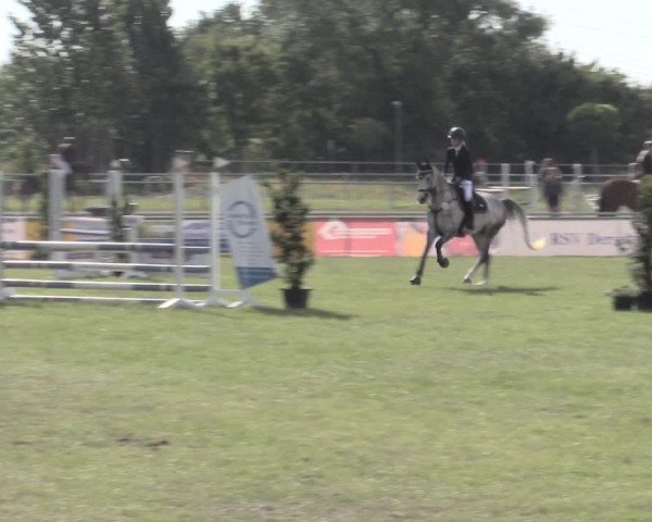 Reitturnier Dersekow 2022