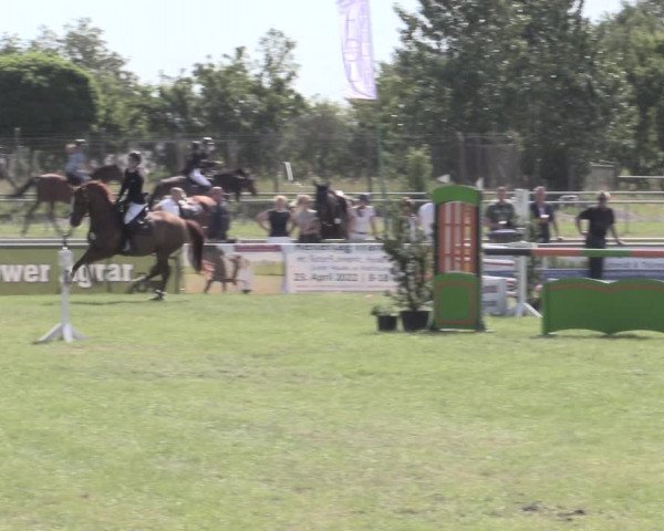 Reitturnier Dersekow 2022
