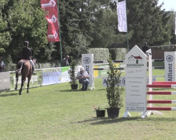 Reitturnier Dersekow 2022