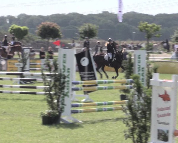 Reitturnier Dersekow 2022