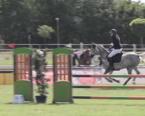 Reitturnier Dersekow 2022