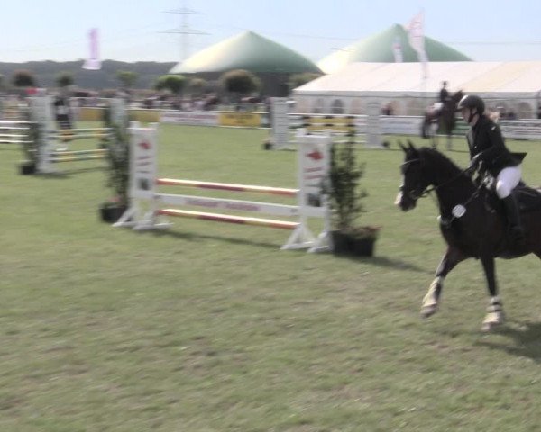 Reitturnier Dersekow 2022