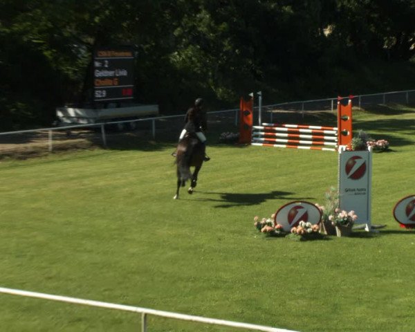 Reitturnier W, Wien-Freudenau/ASKÖ 2022