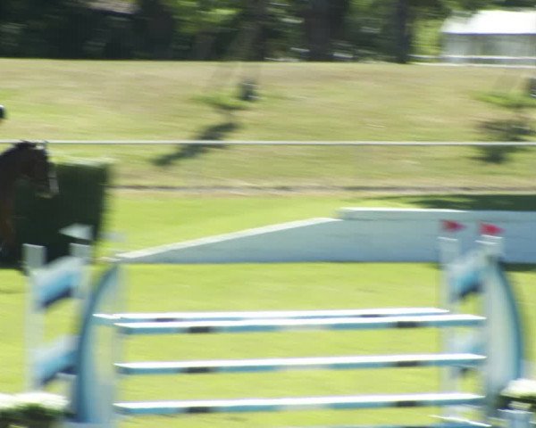 Reitturnier W, Wien-Freudenau/ASKÖ 2022