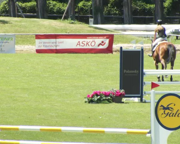Reitturnier W, Wien-Freudenau/ASKÖ 2022