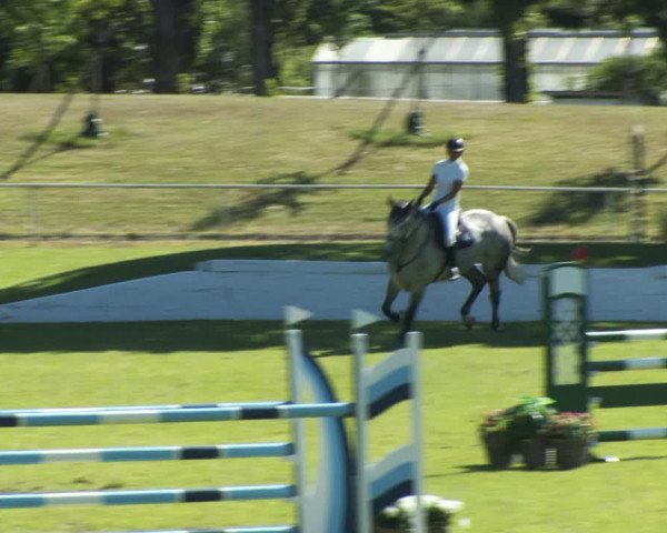Reitturnier W, Wien-Freudenau/ASKÖ 2022