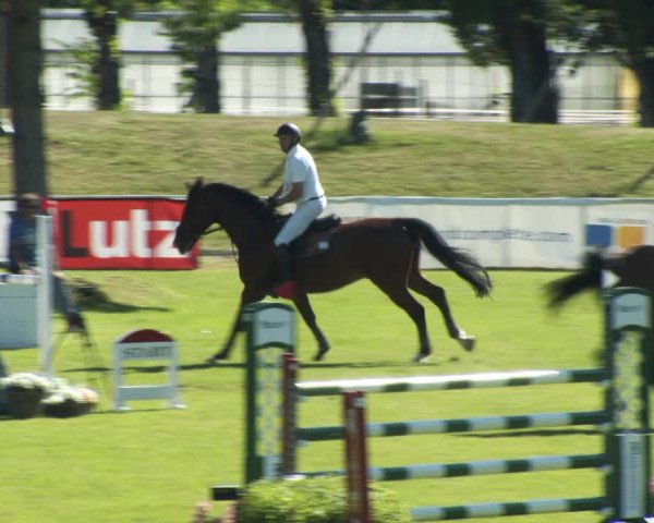 Reitturnier W, Wien-Freudenau/ASKÖ 2022