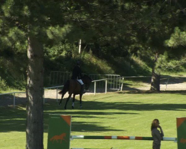 Reitturnier W, Wien-Freudenau/ASKÖ 2022