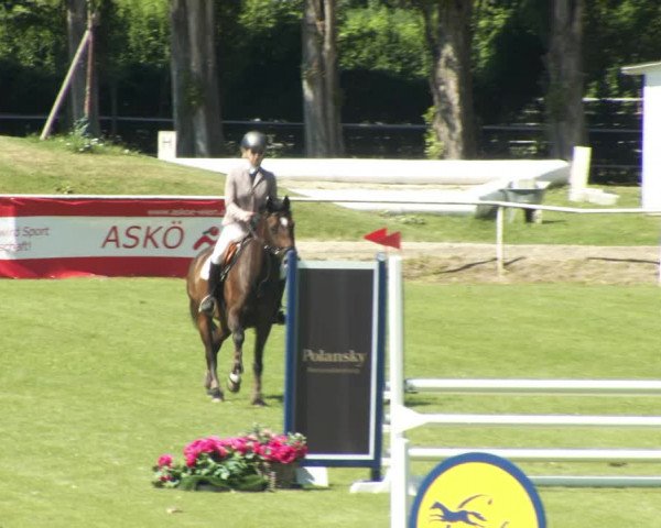 Reitturnier W, Wien-Freudenau/ASKÖ 2022