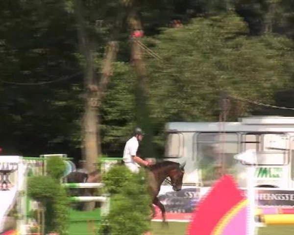 jumper Lantina 5 (Holsteiner, 2005, from Lavall I)