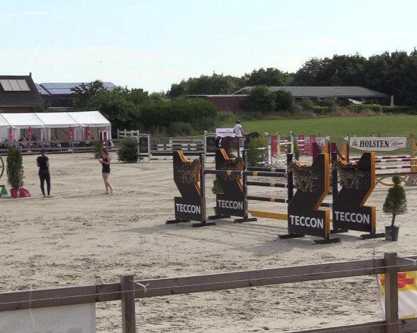 Reitturnier Looper Holz 2022