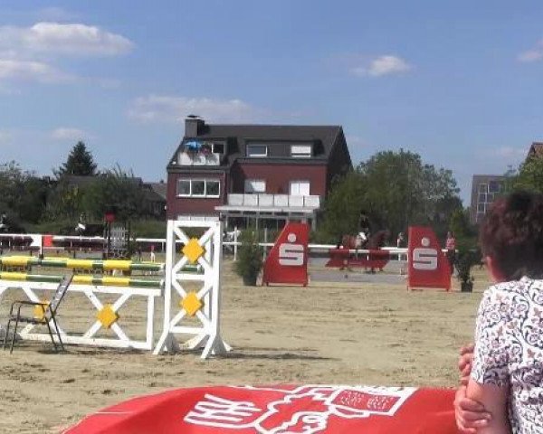Springpferd Latego S (Hannoveraner, 2006, von Laptop)