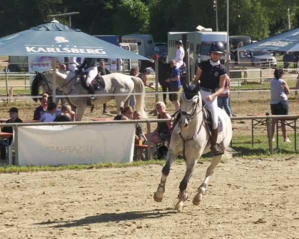 Reitturnier Heiligenwald 2022