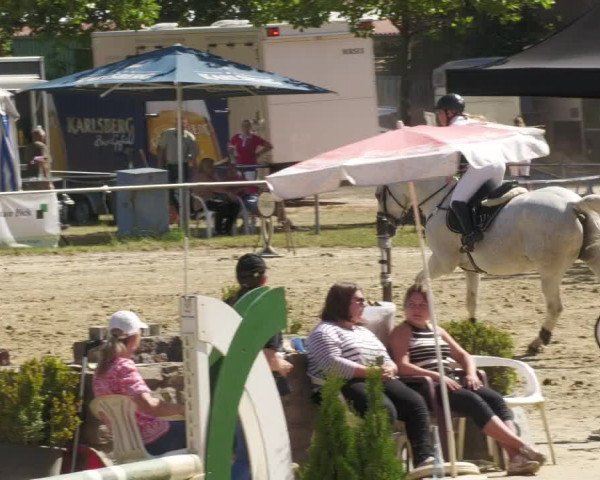 Reitturnier Heiligenwald 2022