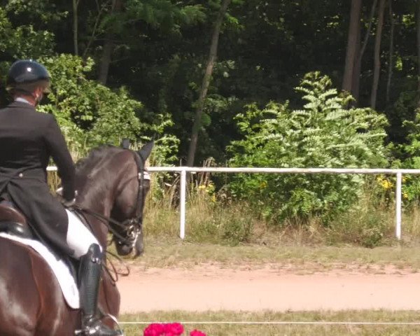 Reitturnier Heiligenwald 2022